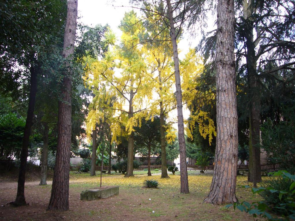Villa Altieri ألبانو لاتسيالي المظهر الخارجي الصورة