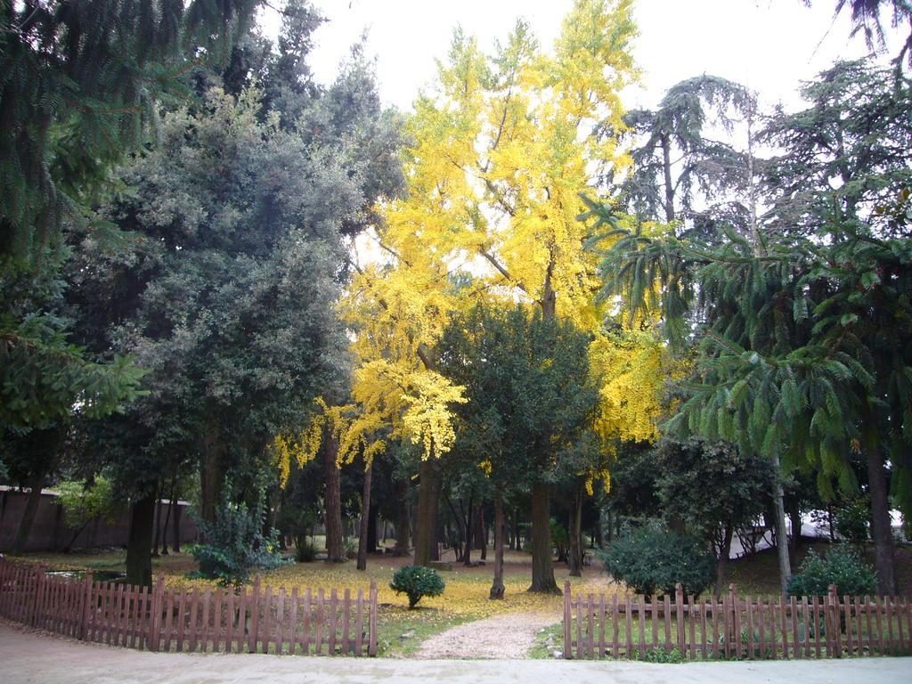 Villa Altieri ألبانو لاتسيالي المظهر الخارجي الصورة