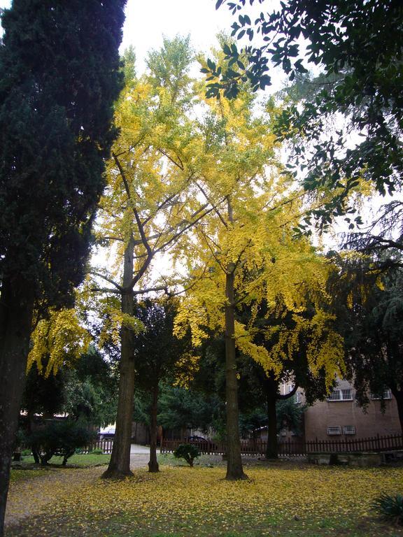 Villa Altieri ألبانو لاتسيالي المظهر الخارجي الصورة